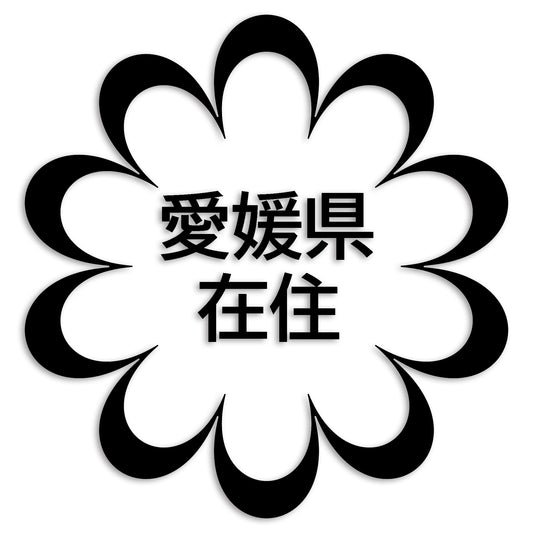 愛媛県 カッティング ステッカー シール 県外ナンバー 在住 イタズラ防止 防水 車 (st-123-02)