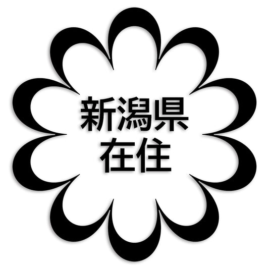 新潟県 カッティング ステッカー シール 県外ナンバー 在住 イタズラ防止 防水 車 (st-123-25)