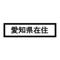 愛知県 カッティングステッカー 県外ナンバー 在住 イタズラ防止 st-34-01